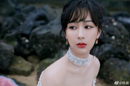 杨紫最新爆料贴吧微博号,揭秘娱乐圈幕后故事,独家微博号带你一探究竟!”